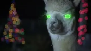 ALPACALYPSE Teaser 2