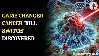 Kill Switch&rsquo; Discovered to Eliminate Cancer Cells! | WION Podcast