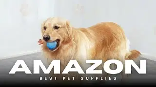PJC Automatic Electric Dog Ball 🧸⚡ | Interactive Rolling & Squeaky Toy with Rope
