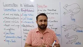 Ch 16 Lec 26 Locomotion in Amphibians, Class 12 Biology
