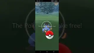 680 Pokemon Go - Event Croagunk l @cruziantv9451