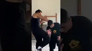 Bak Mei Pai Hakka Kung Fu