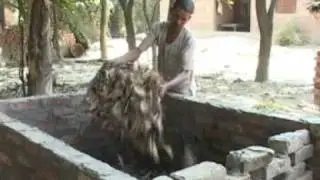 Film on Vermi Compost .DAT
