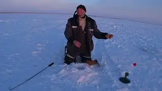 Реальный клёв на Иртыше зимой! Щука и окунь | ВКО