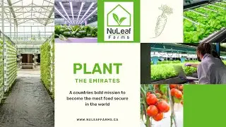 UAE Leading the way to food Security #uae #food #hydroponics #agriculture #sustainability #climate