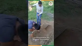 Land Preparation for Organic Vegetables. #ProduceOrganicVegetables #shorts #short