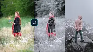How to Add Silver Tone Presets in Lightroom Mobile