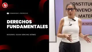 Curso gratuito: Control Constitucional y Derechos Fundamentales