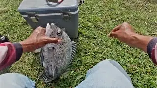 Mancing di hantam badai ikan babon menyerang