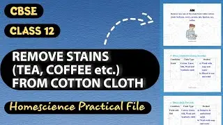 || Remove Any One Stain from White Cotton Cloth (Ball Pen Ink, Curry, Lipstick etc.) || Class 12 ||