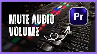 Как отключить звук в Premiere Pro | Методы клипов и треков