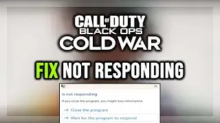 How to FIX COD: Black Ops Cold War Not Responding / Has Stopped Working Error