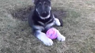 VID 20150401 191407