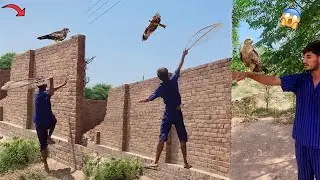 Aj Hum Ny Eagle Ko Pakrny ki Try ki😱|| Easy Eagle Trap Using Net😍|| How to Catch Eagle