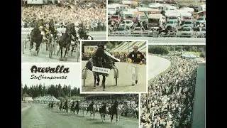 Pay The Bill & Sven-Gunnar Andersson vinner Stochampionatet (278 260 kr) på Axevalla 1984.