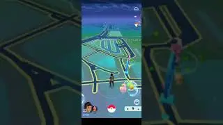 Pocket Auto Catch not working