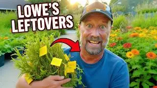 Набрал 3 ярда с остатками от Lowe’s