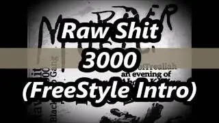 Raw Shit 3000 (FreeStyle Intro)
