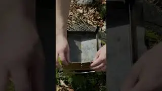 The NEW Repus Umu Grill #short #epic #bushcraft #camping #asmr