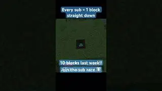SUB SATURDAY!! #subrace #minecraft