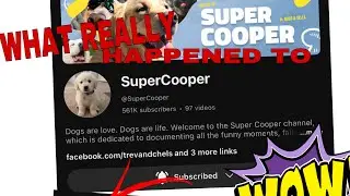 WHAT HAPPENED TO SUPER COOPER