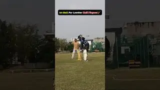 Leather Ball Players vs Tennis Ball Players 🏏 #cricket #trending #trendingshorts #cricketshorts