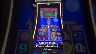 Dollar link Autumn 🍂 Moon #casino #slot #dragon #dragonball #jackpot #slotmachine #casinogame #big