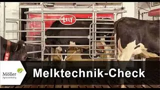 Melktechnik-Check: Kostenvergleich Melkroboter oder Melkstand?