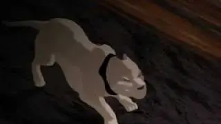 PSA-Dog fighting.mp4