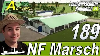 LS25 🚜 189 NF Marsch 4fach Ein guter Platz für den Kuhstall #landwirtschaftssimulator25 #letsplay