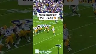 LSU vs Auburn Highlights🔥 #shorts