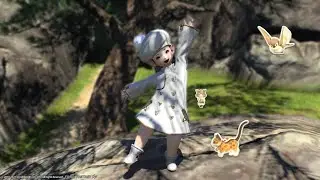 Final Fantasy XIV - Try Grinding 1 Set gear for Tomestone  | PART 2