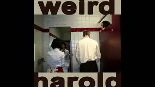 Weird Harold | Beautiful Hostess (raw audio studio demo)