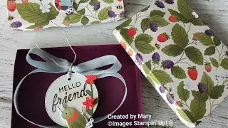 Gift Box featuring Sweet Bugs bundle from Stampin' UP!®️