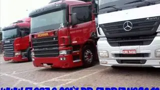 musica dos cegonheiro da transauto