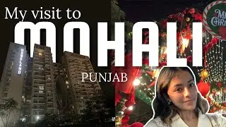Never seen a mall so empty! | VR Punjab Mall | Mohali | Travel Vlog | 04 
