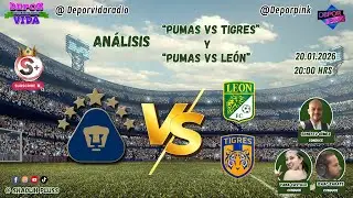 Tema: An&aacute;lisis 