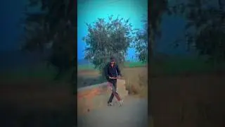 pater pater piyawa palang par #shorts #bhojpuri #dance #explore