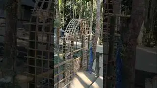 Bamboo craft | Bamboo Fencing | Bamboo Gate - M H Habib Mini Garden #shorts #bamboocrafts #garden