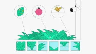Introducing MyCrops