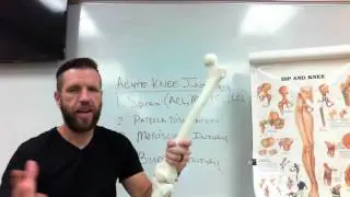 Acute Knee Injury