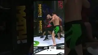Brutal Elbow Knockout after a Single Leg Attack in MMA