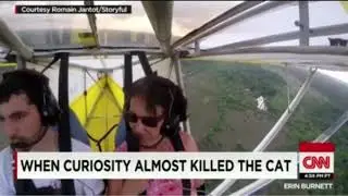 Cat flies on wing of plane without pilot knowing!😰