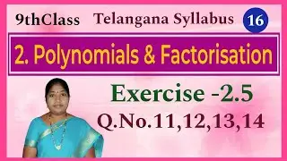 9thClass, Polynomials and Factorisation, Exercise 2.5, Q.No.11, 12,13, 14