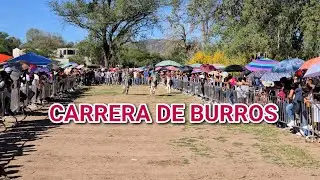 Carrera de Burros en Santa María Xochixtlapilco, Huajuapan, Oaxaca