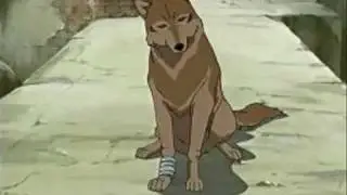 Wolf's Rain Characters