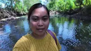 Checking Lechon