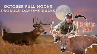How Moon Phase REALLY Affects Buck Movement - According to Steve Sherk