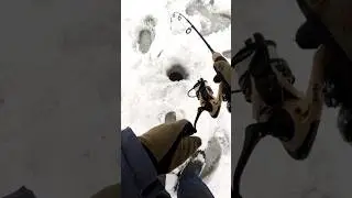 Za błędy się płaci