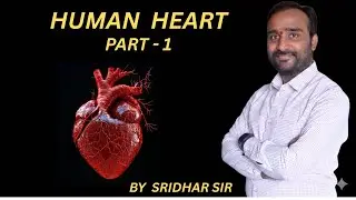 Human Heart | PART-1